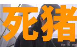 大数金融发的催收短信：揭秘金融借款催收背后的真相